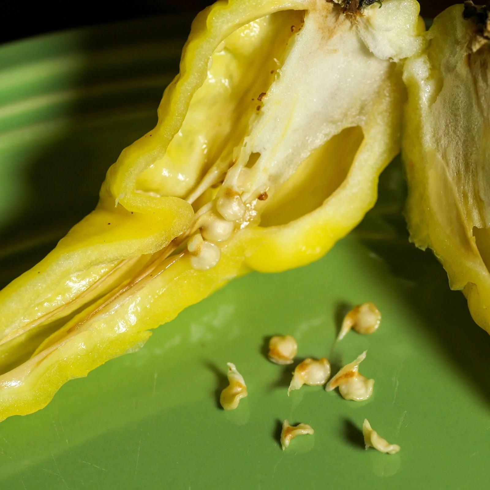 Yellow Fever Pepper Seeds - Image 4