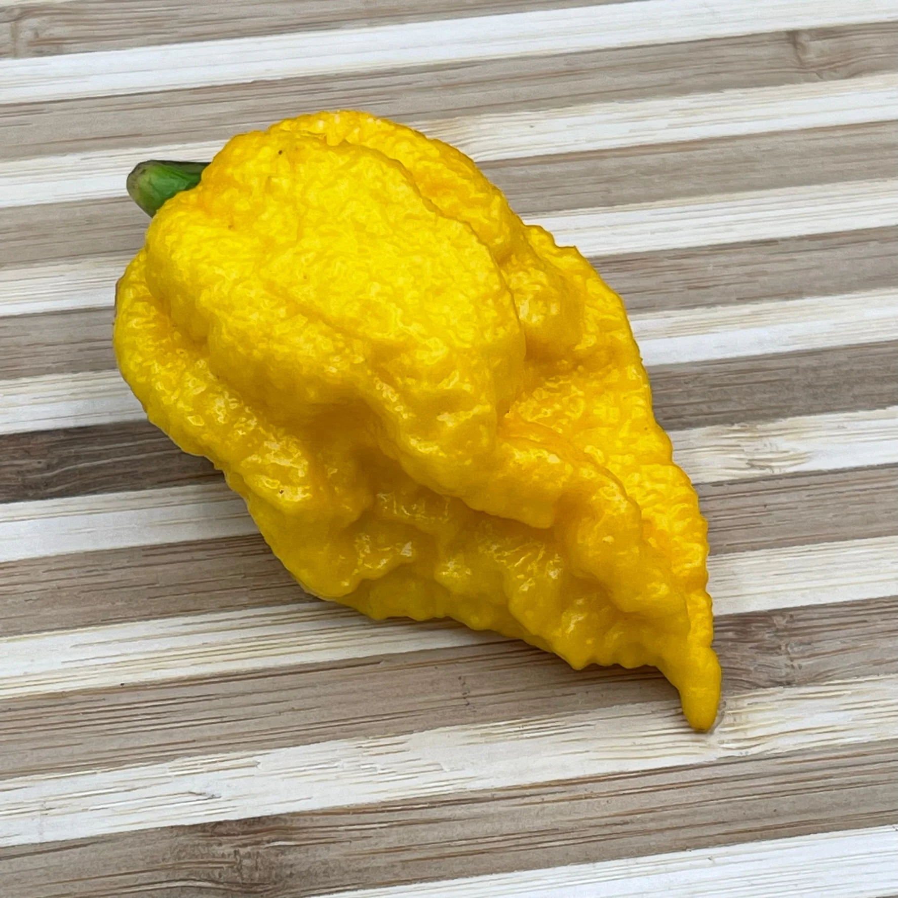Yellow Fever - Seeds - Image 5