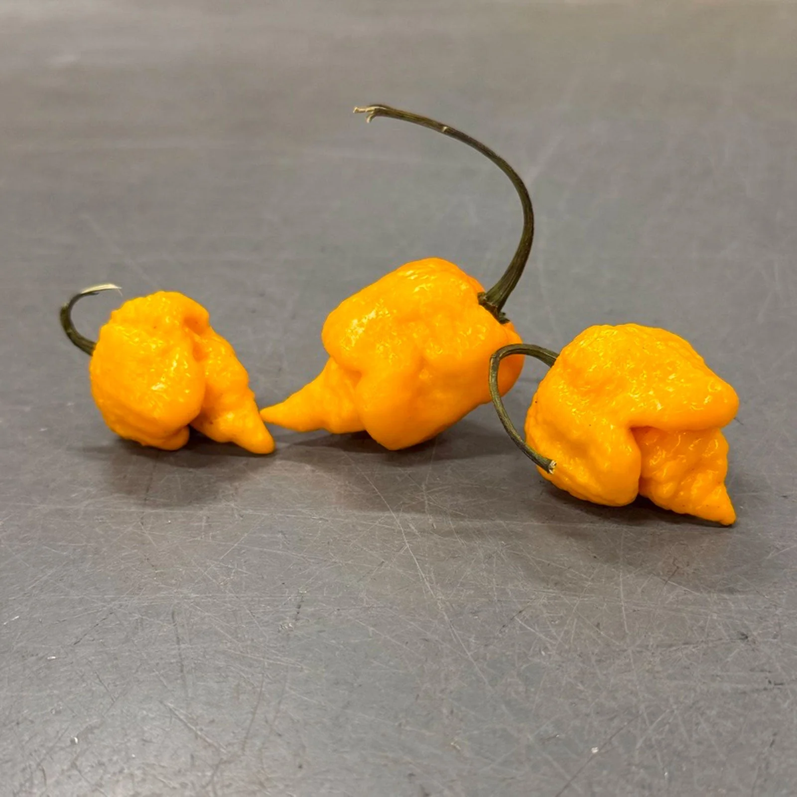 Yellow Reaper Pepper Seeds - Image 3