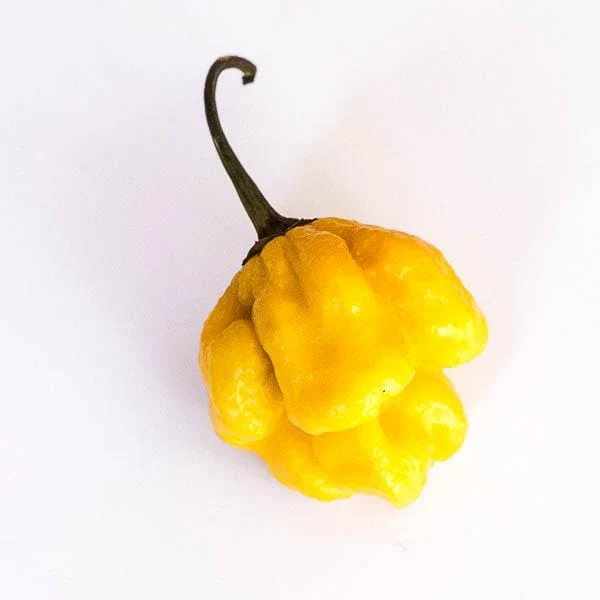 Yellow Reaper Pepper Seeds - Image 4