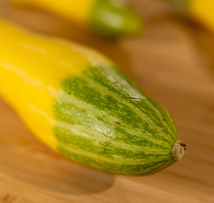Zephyr Hybrid Summer Squash Seeds - Image 2
